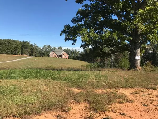 Pinnacle, NC 27043,1.8 AC Shoals RD #1.84 ac