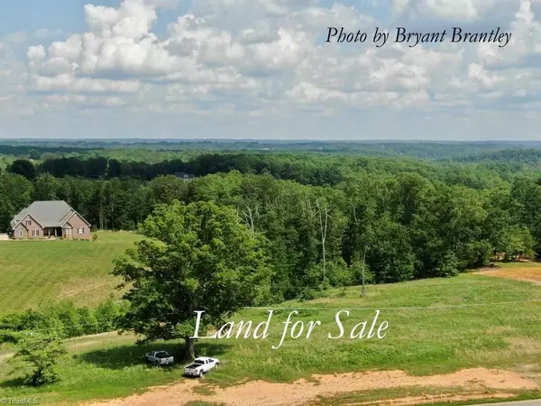 Pinnacle, NC 27043,1.8 AC Shoals RD #1.84 ac