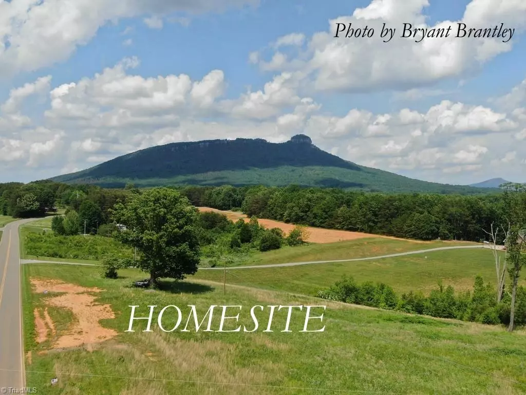 Pinnacle, NC 27043,1.8 AC Shoals RD #1.84 ac