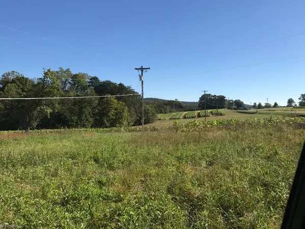 Pinnacle, NC 27043,2.26 AC Shoals RD #2.26 ac