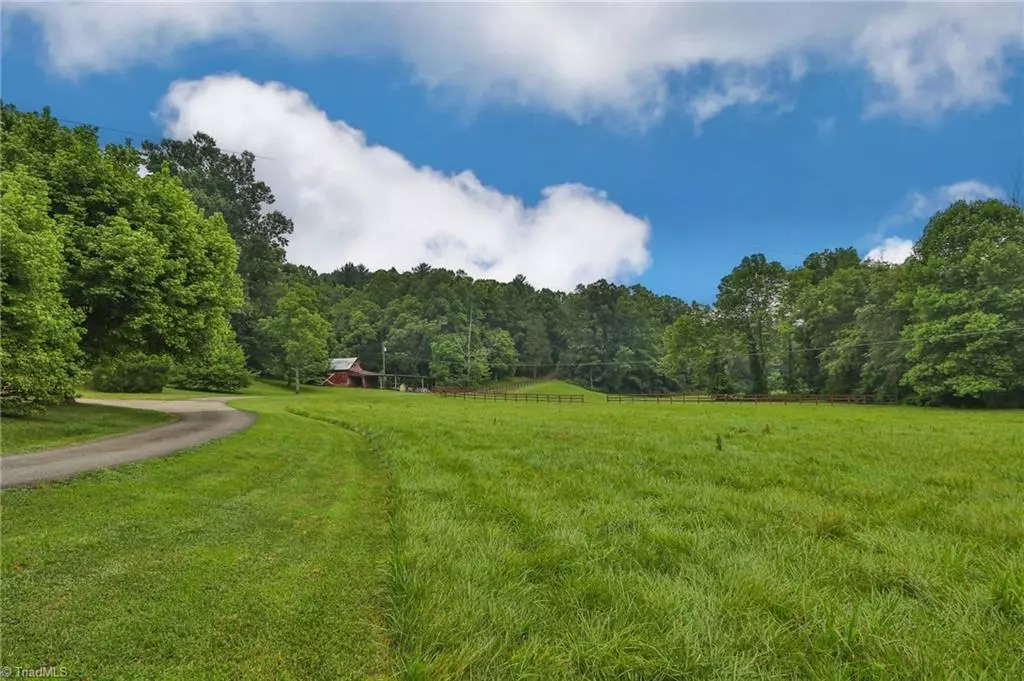 Traphill, NC 28685,10901 Austin Traphill RD