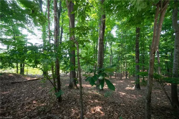 Hamptonville, NC 27020,00 Carrie Farm DR