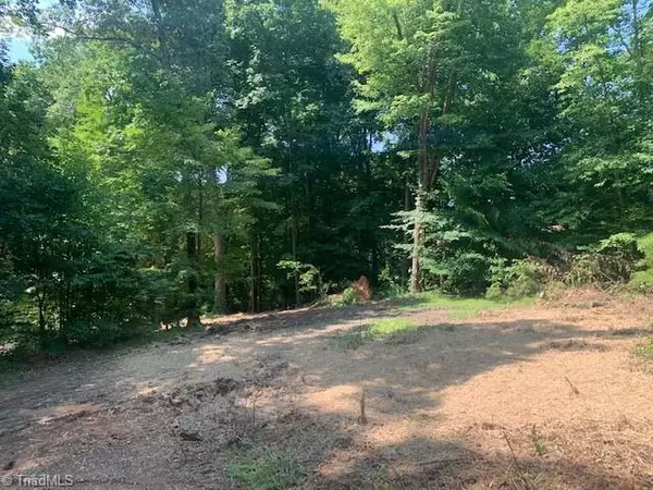 Tobaccoville, NC 27050,6790 Ridge RD