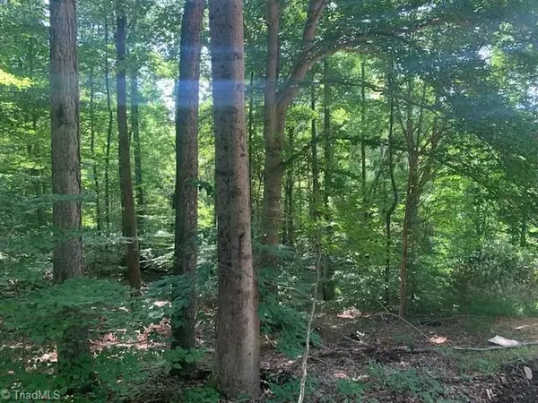 Tobaccoville, NC 27050,6790 Ridge RD