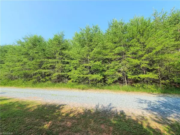 Pinnacle, NC 27043,xx 1 acre Hunter Trail RD