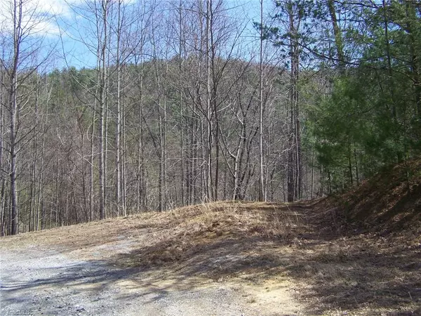 Millers Creek, NC 28651,Tract # 64 Riverview RD