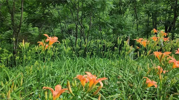 Millers Creek, NC 28651,000 N Old NC Highway 16