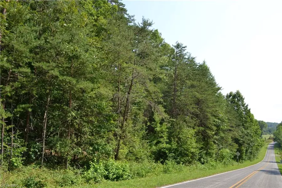 28 Acres, Beaver Creek RD, Mayodan, NC 27027