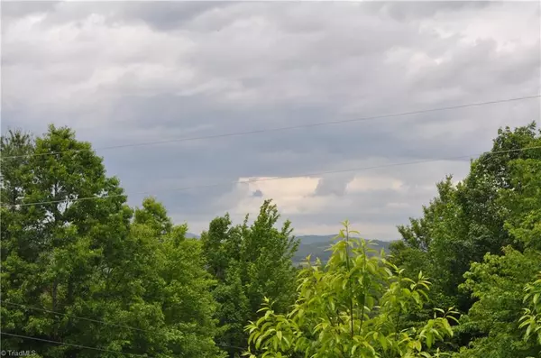 North Wilkesboro, NC 28659,251 Gold Mine Ridge