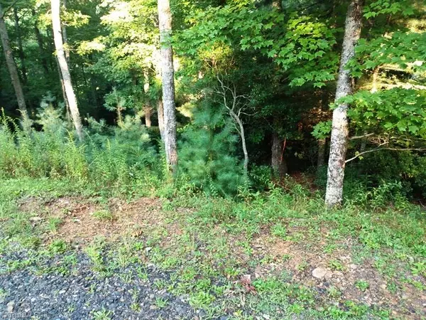 West Jefferson, NC 28694,TBD Autumn Fern TRL