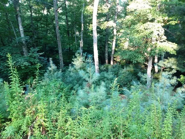 West Jefferson, NC 28694,TBD Autumn Fern TRL