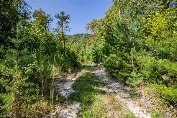 Traphill, NC 28685,00 Grissel Tail RD