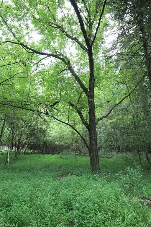 Roaring River, NC 28669,00 RR Ruritan Club RD