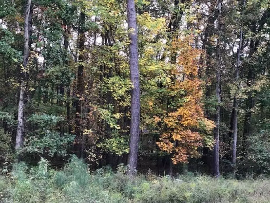 Snow Camp, NC 27349,0 Mt Hermon Rock Creek RD