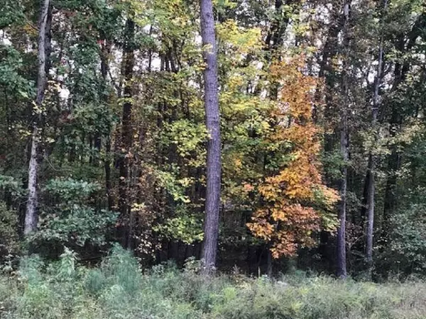 0 Mt Hermon Rock Creek RD, Snow Camp, NC 27349