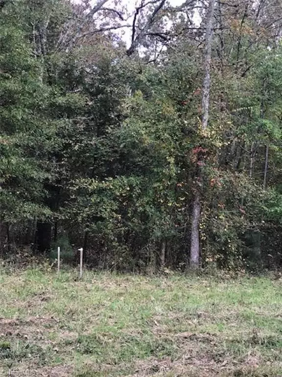 Snow Camp, NC 27349,0 Mt Hermon Rock Creek RD