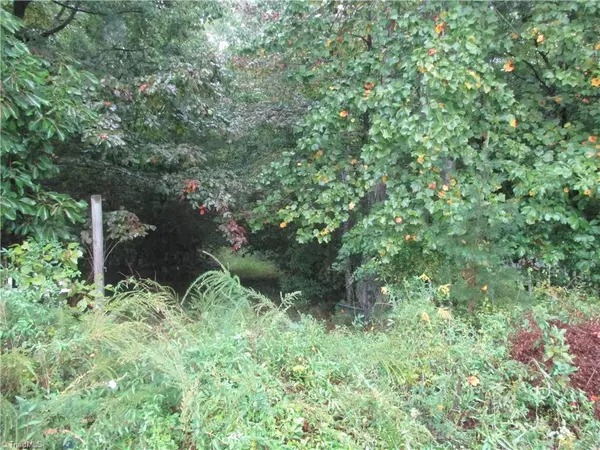 Stoneville, NC 27048,00 Stones Throw RD