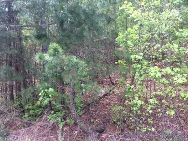 Ramseur, NC 27203,0 Reed Creek RD