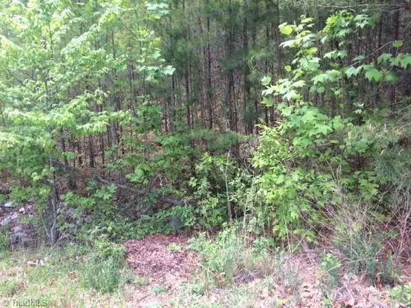 Ramseur, NC 27203,0 Reed Creek RD