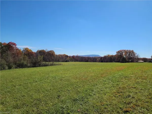 Westfield, NC 27053,xx 2 acres Locust Grove RD