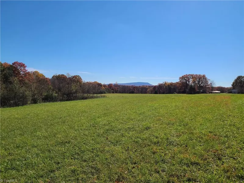 xx 2 acres Locust Grove RD, Westfield, NC 27053