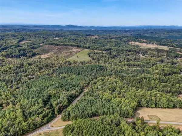 Stoneville, NC 27048,Tract E Center Meeting House RD