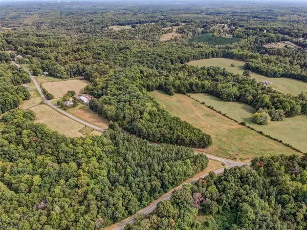 Stoneville, NC 27048,Tract E Center Meeting House RD