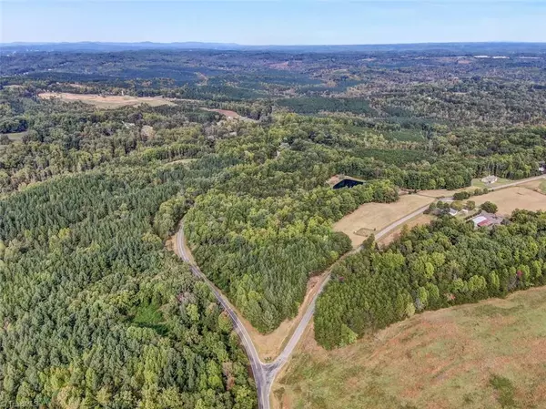 Stoneville, NC 27048,Tract E Center Meeting House RD