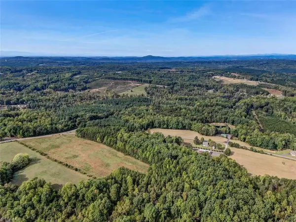 Stoneville, NC 27048,Tract F Center Meeting House RD