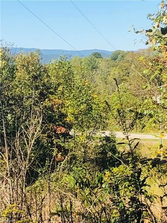 Wilkesboro, NC 28697,0 Appaloosa Ridge RD