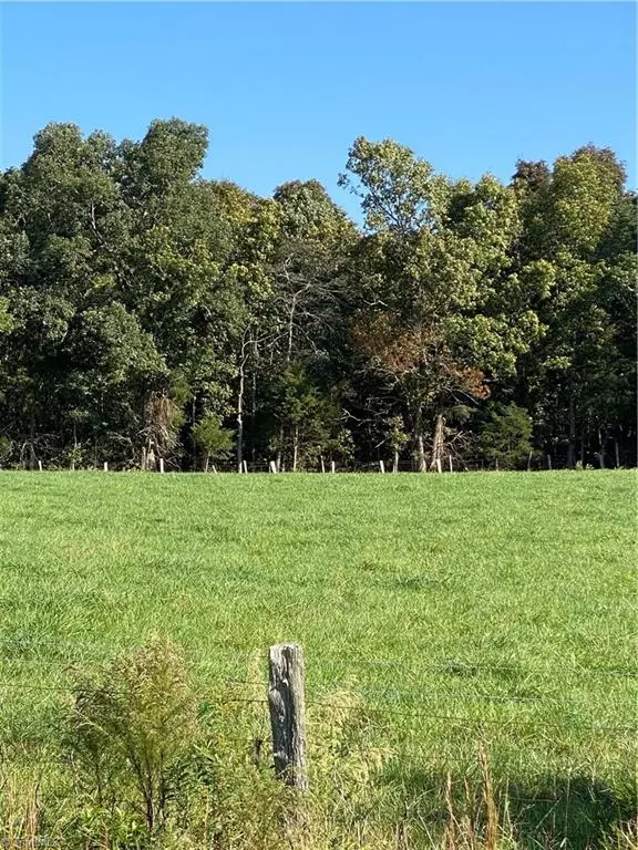 Ramseur, NC 27316,00 Burgess Kivett RD