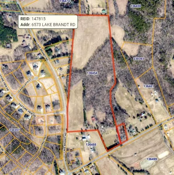 Summerfield, NC 27358,1768 Scalesville RD