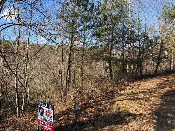 Ararat, NC 27007,#13 Hunter Ridge LN