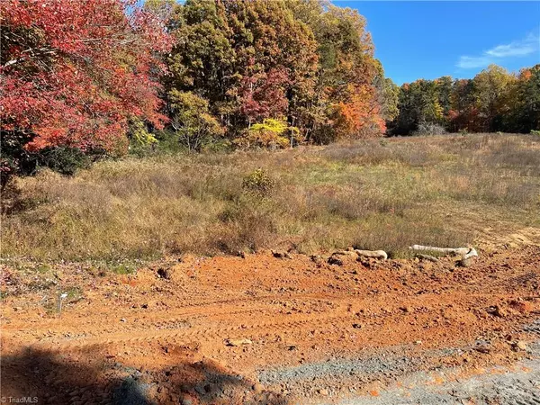 Tobaccoville, NC 27050,Lot 3 Moore RD