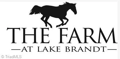 1115 Hayes Farm DR, Summerfield, NC 27358