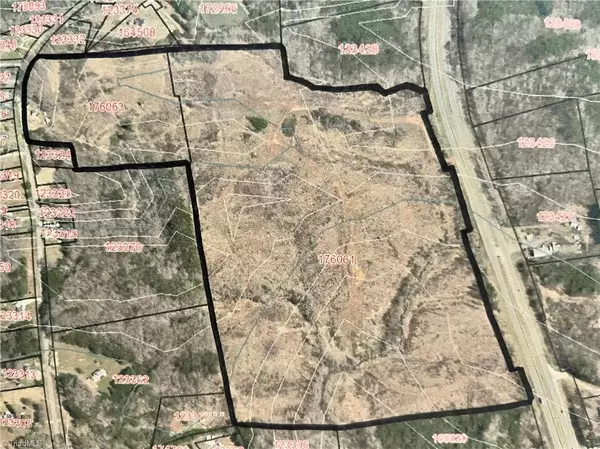 Stoneville, NC 27048,78 +/- Acres US Highway 220 S