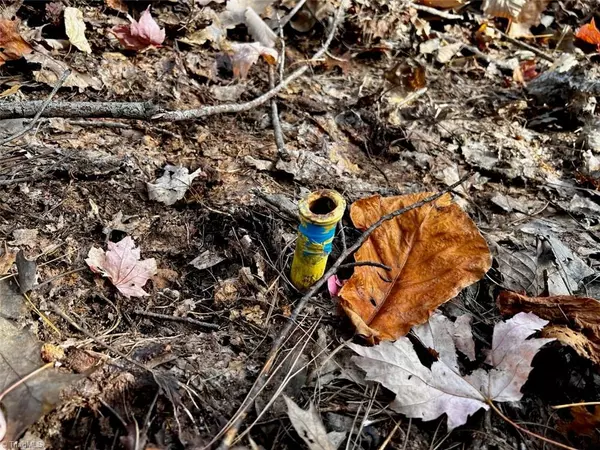 Millers Creek, NC 28651,TBD Old NC Highway 16