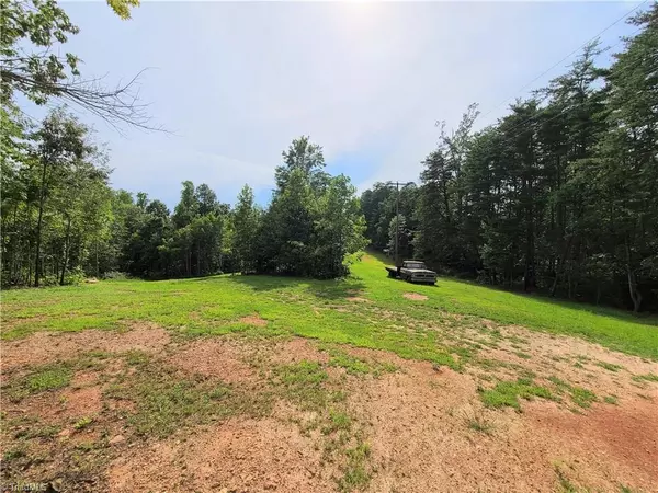 xx 10.7 acres NC Highway 268, Pinnacle, NC 27043