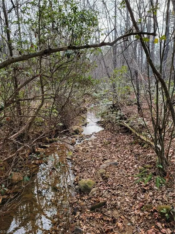 Ararat, NC 27007,0 Hunter Ridge LN