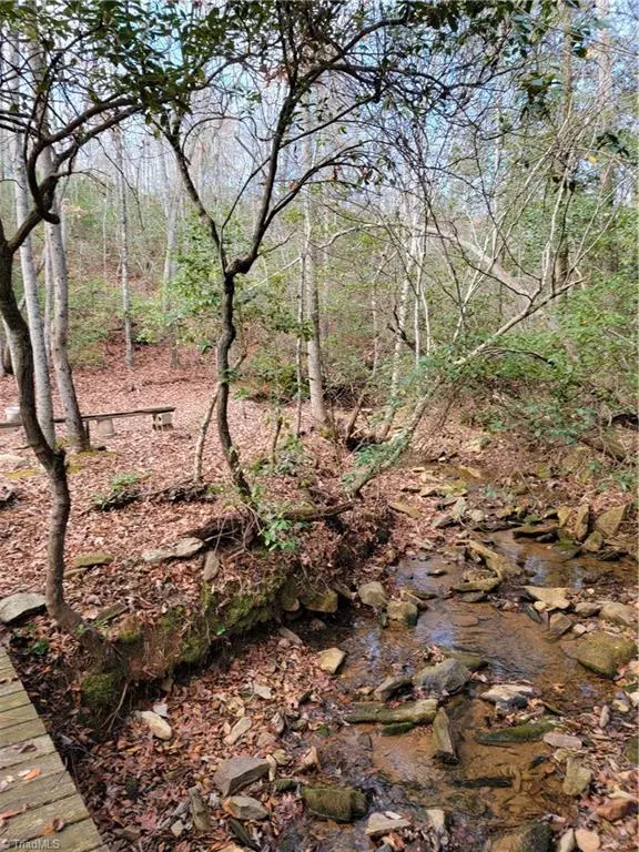 Ararat, NC 27007,0 Hunter Ridge LN