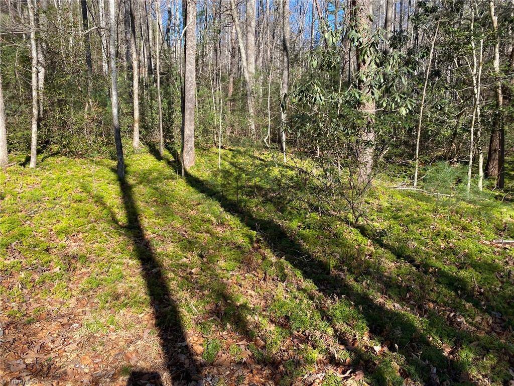 Purlear, NC 28665,0 Reedy Branch RD
