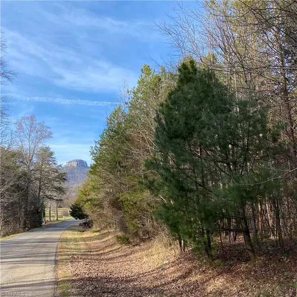 Pinnacle, NC 27043,00 Culler RD