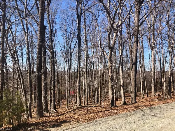 Hamptonville, NC 27020,2038 Carrie Farm DR