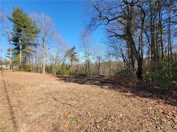 Millers Creek, NC 28651,00 N OakGrove EXT