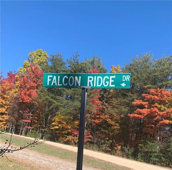 Moravian Falls, NC 28654,Lot 9 Falcon Ridge DR