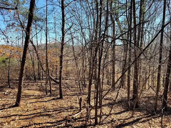 Stoneville, NC 27048,0 C N Smith Mill RD