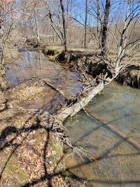 Stoneville, NC 27048,0 C N Smith Mill RD