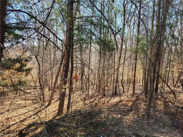 Stoneville, NC 27048,0 C N Smith Mill RD