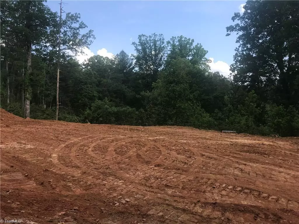 Wilkesboro, NC 28697,TBD Hamby Mountain RD