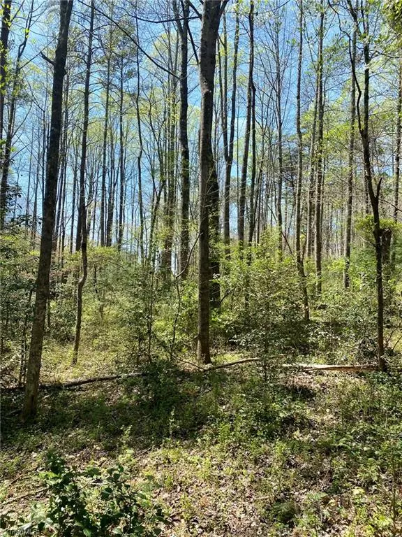 Hays, NC 28635,TBD Traphill RD